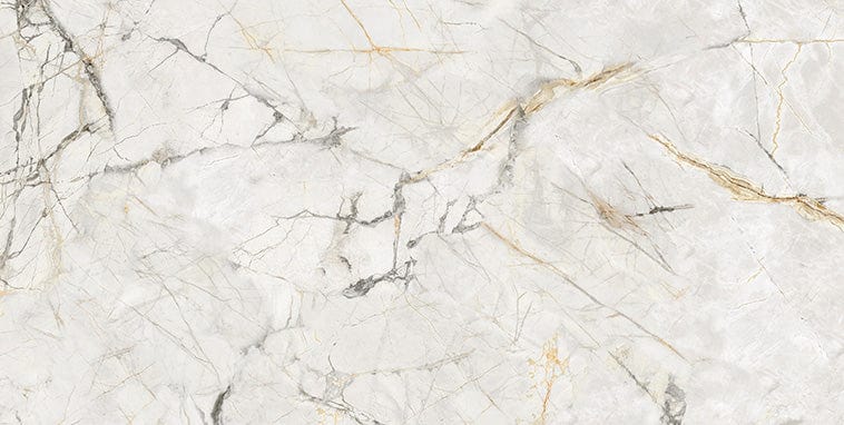 Axor Gold 24x48 Polished Porcelain Tile Euro Glass