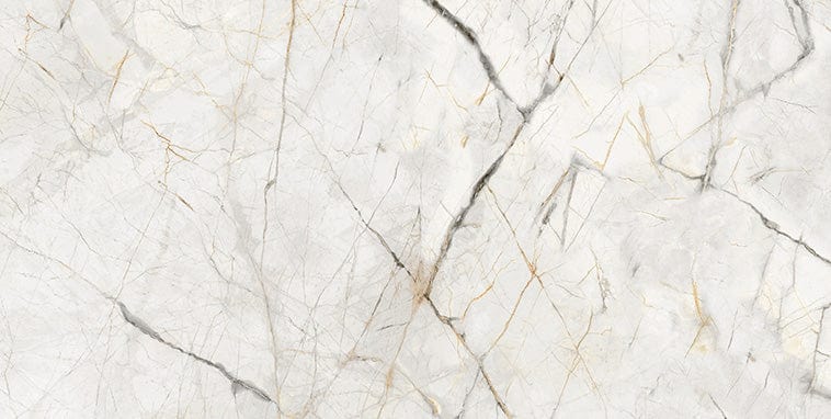 Axor Gold 24x48 Polished Porcelain Tile Euro Glass