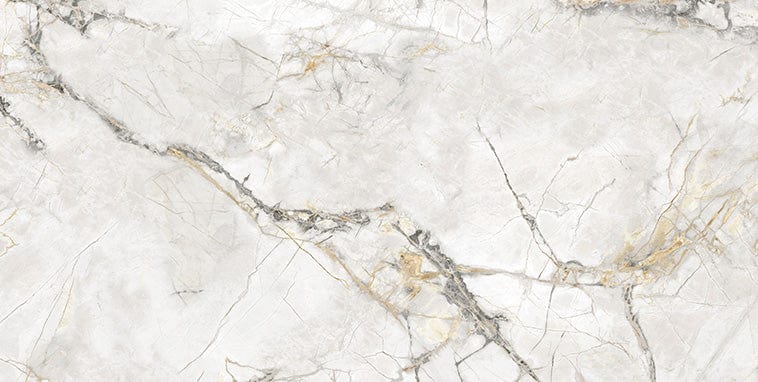 Axor Gold 24x48 Polished Porcelain Tile Euro Glass