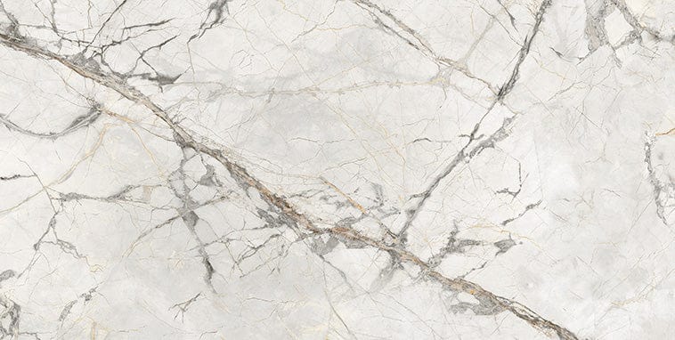 Axor Gold 24x48 Polished Porcelain Tile Euro Glass