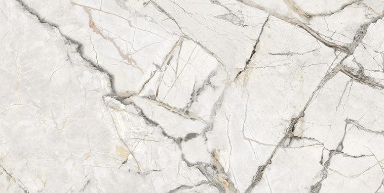 Axor Gold 24x48 Polished Porcelain Tile Euro Glass