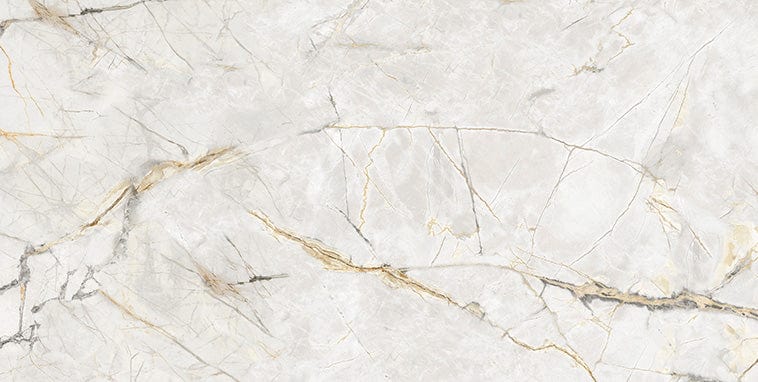 Axor Gold 24x48 Polished Porcelain Tile Euro Glass