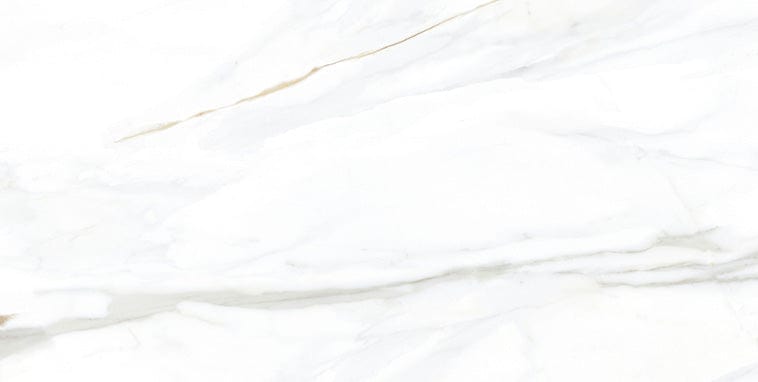 Emporio Calacatta 24x48 Polished Porcelain Tile Euro Glass