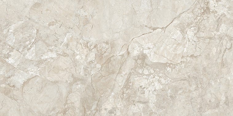 Stream Bone 24x48 Polished Porcelain Tile Euro Glass