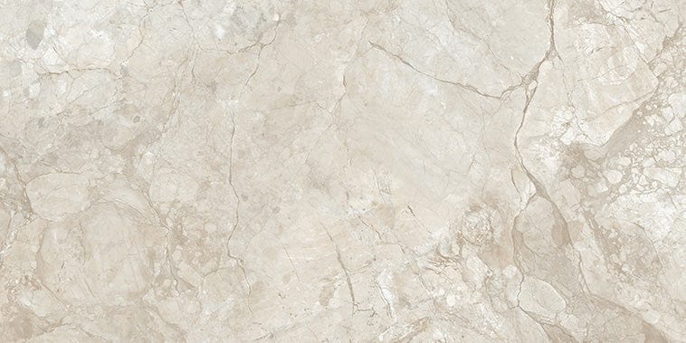 Stream Bone 24x48 Polished Porcelain Tile Euro Glass