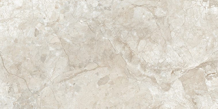 Stream Bone 24x48 Polished Porcelain Tile Euro Glass