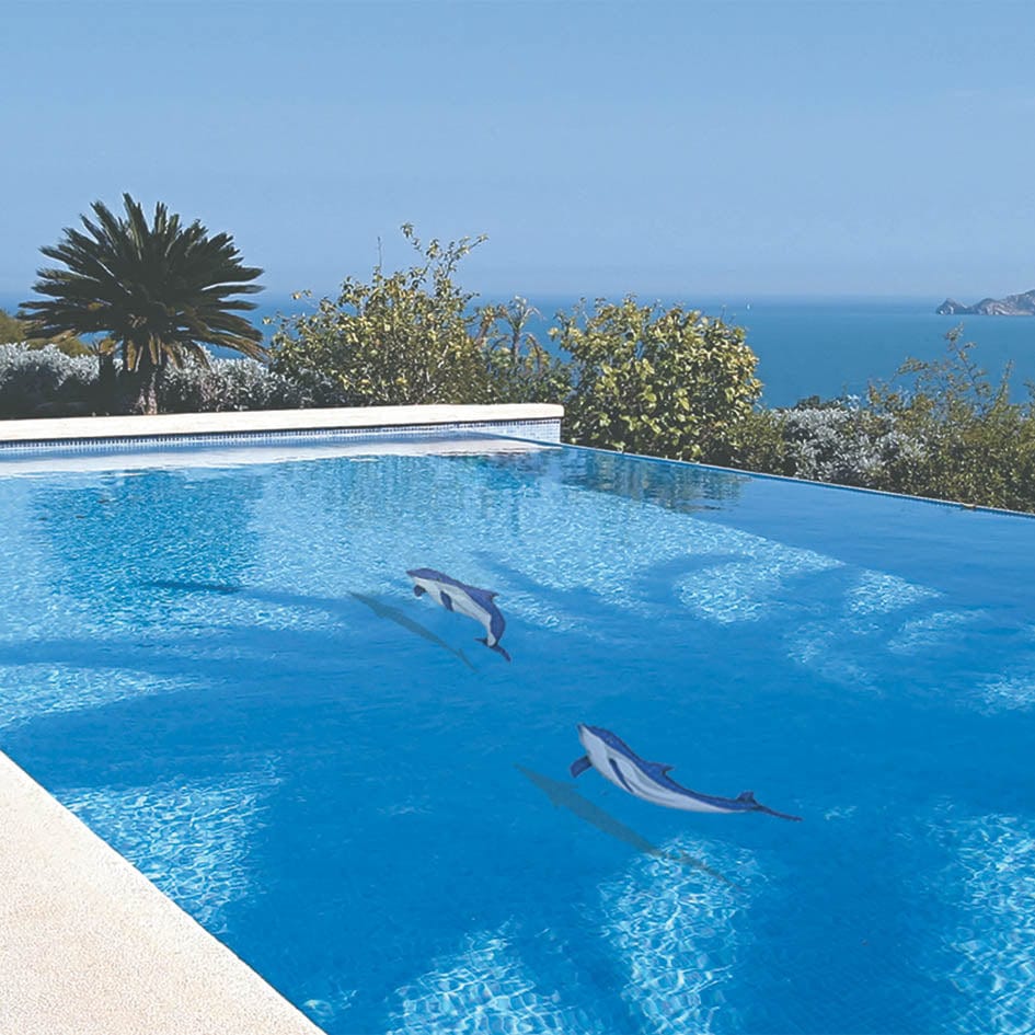 Bottlenose Dolphin Downward with Shadow Ceramic Mosaics Pool Tile Ocean Pool Mosaics