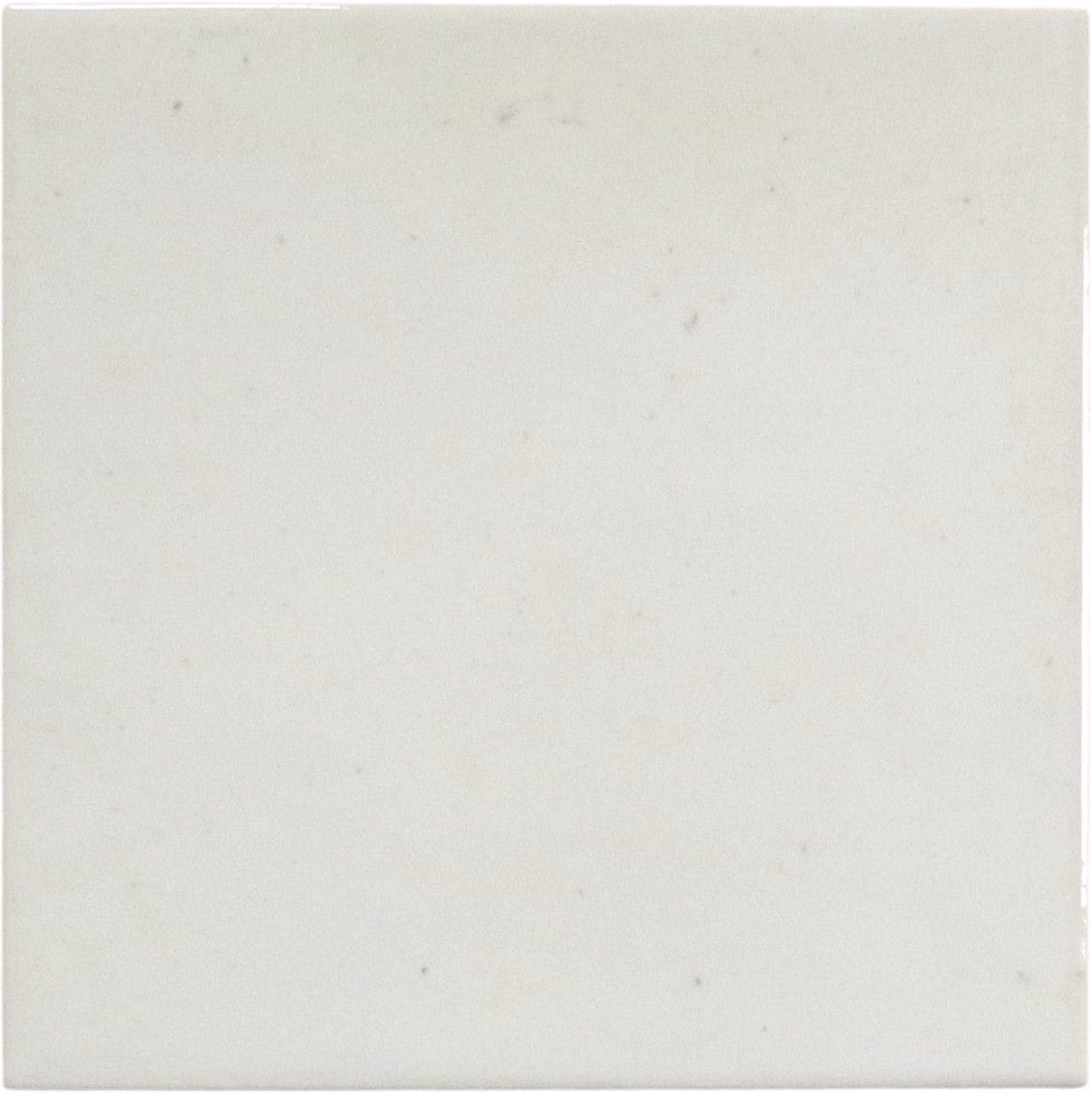 Boutique Antique White Field 6x6 Porcelain Tile Ocean Pool Mosaics