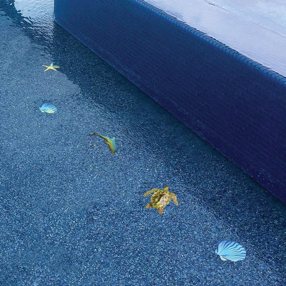 Fusion Mini Dolphin Rainbow 6" Porcelain Mosaics Pool Tile Ocean Pool Mosaics