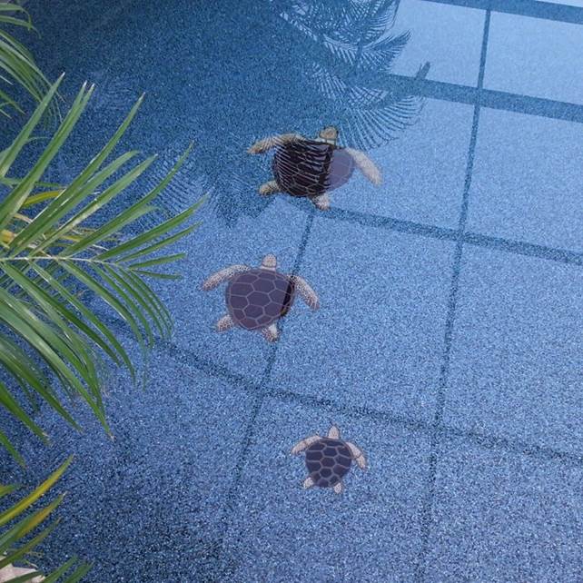 Loggerhead Turtle Brown 20x24 Porcelain Mosaics Pool Tile Ocean Pool Mosaics