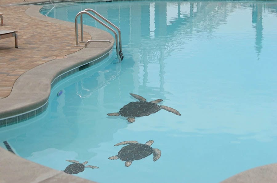 Loggerhead Turtle Brown 20x24 Porcelain Mosaics Pool Tile Ocean Pool Mosaics