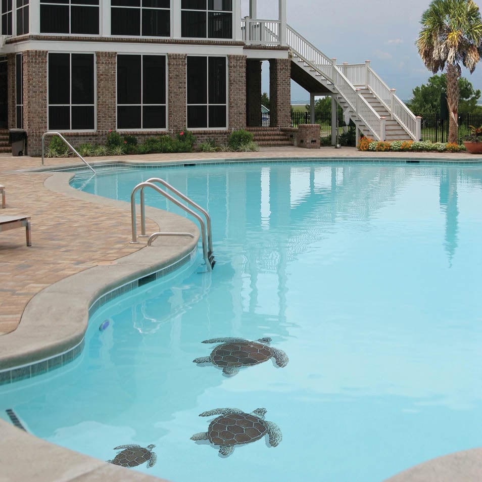 Loggerhead Turtle with Shadow Brown 21x26 Porcelain Mosaics Pool Tile Ocean Pool Mosaics