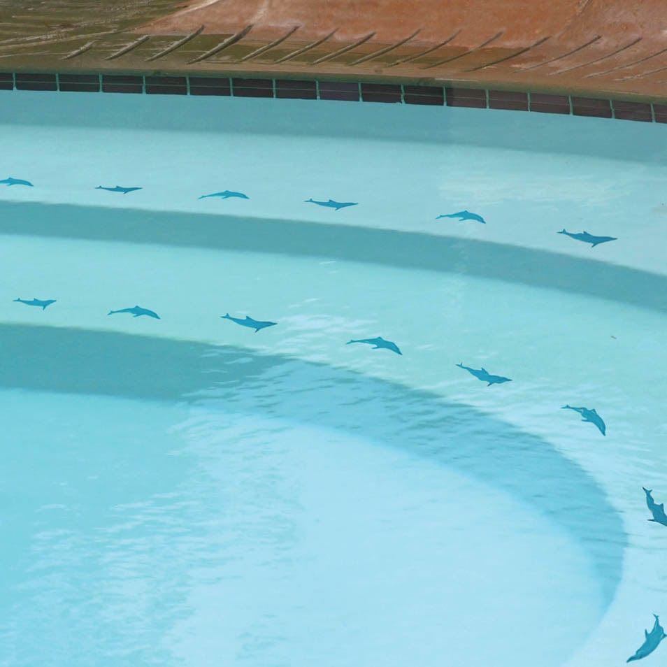 Mini Dolphin Aqua 6" Porcelain Mosaics Pool Tile Ocean Pool Mosaics