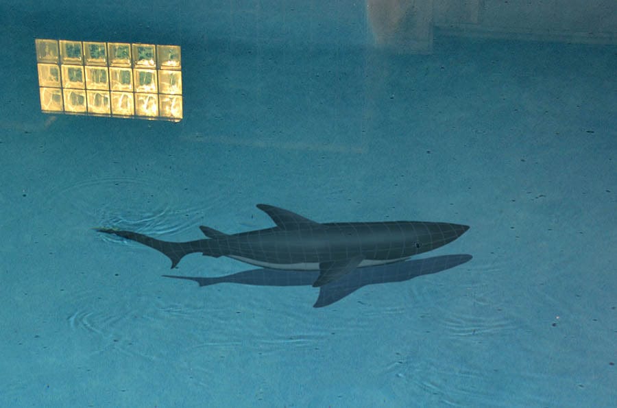 Shark with Shadow 24x61 Porcelain Mosaics Pool Tile Ocean Pool Mosaics
