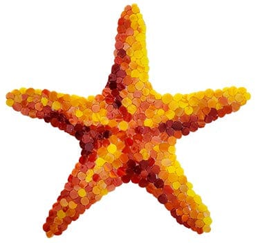 Starfish 10x10 Glass Mosaics Pool Tile Ocean Pool Mosaics