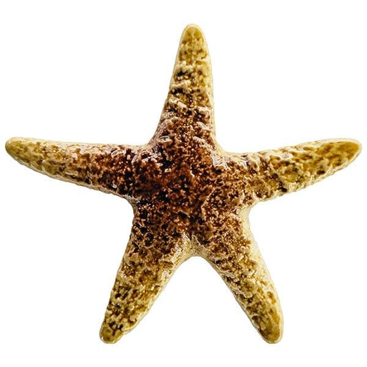 Starfish 5" Tan Porcelain Mosaics Pool Tile Ocean Pool Mosaics