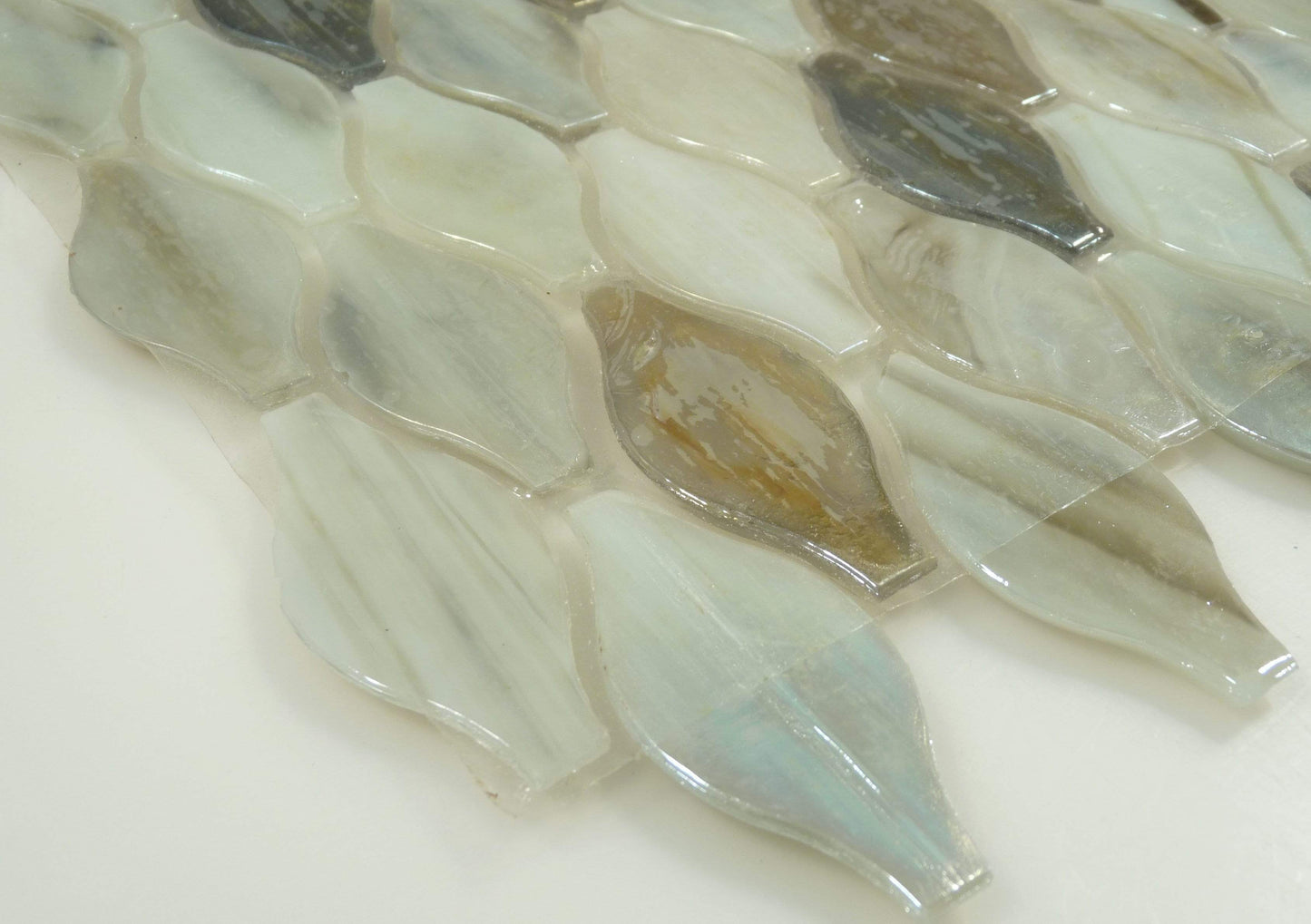 Oyster Brown Unique Shapes Glass Glossy & Iridescent Tile Botanical Glass