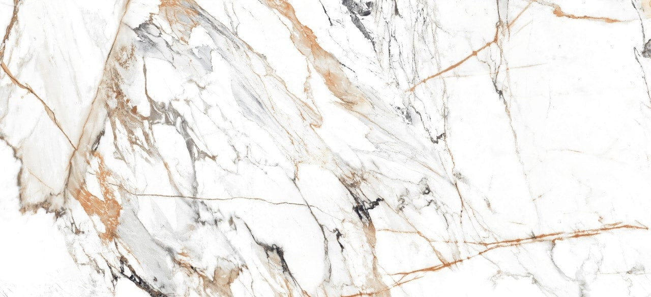 Elektra Royal 24x48 Polished Porcelain Tile Champion Tile