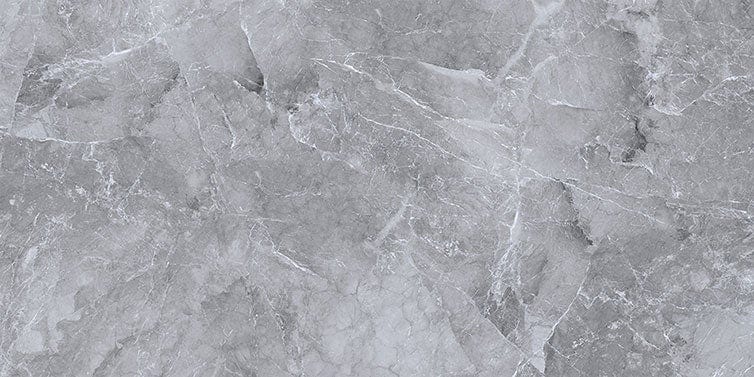 Armany Grey 24x48 Polished Porcelain Tile Euro Glass