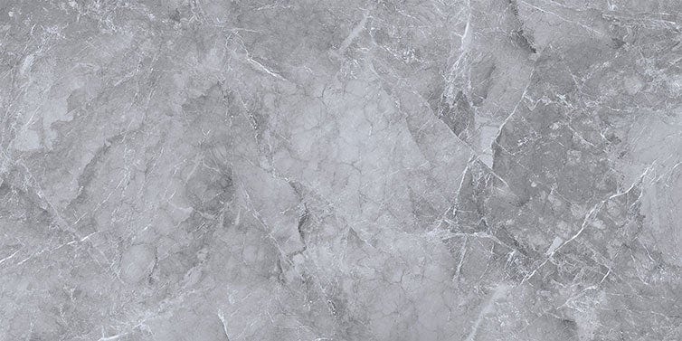 Armany Grey 24x48 Polished Porcelain Tile Euro Glass