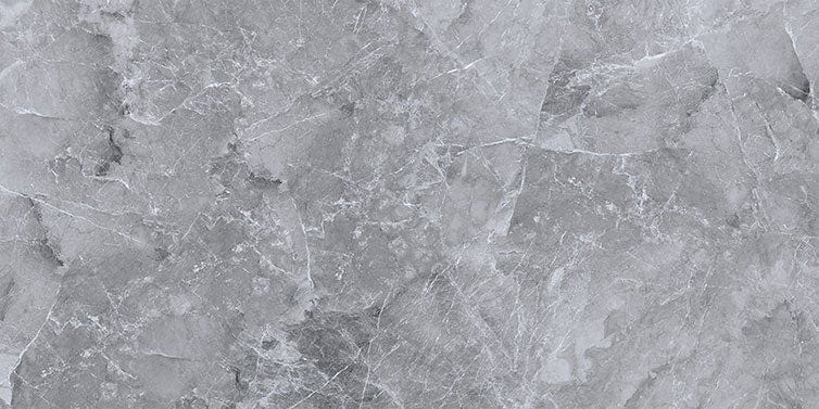 Armany Grey 24x48 Polished Porcelain Tile Euro Glass