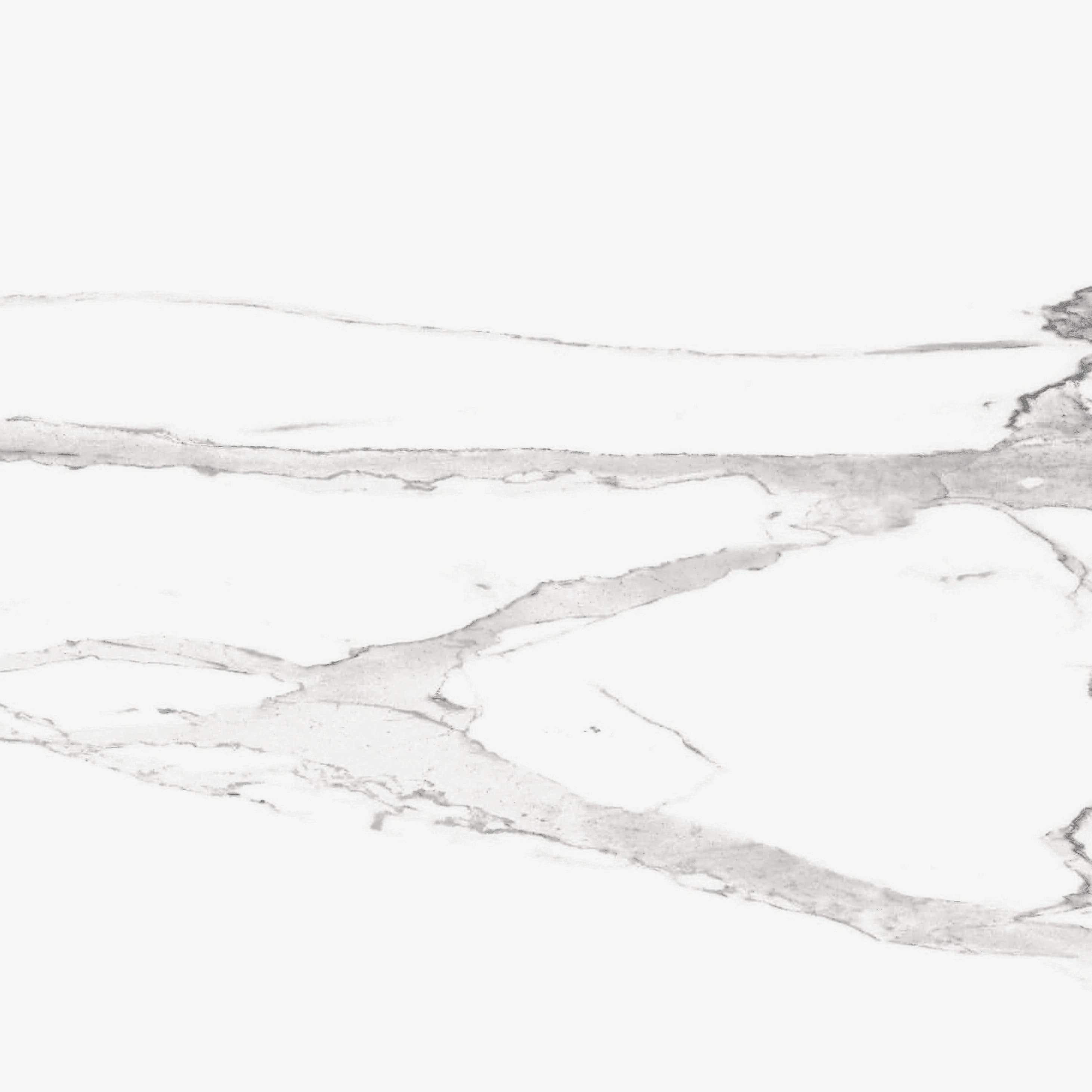 Jolly Statuario White 24x24 Polished Porcelain Tile Champion Tile