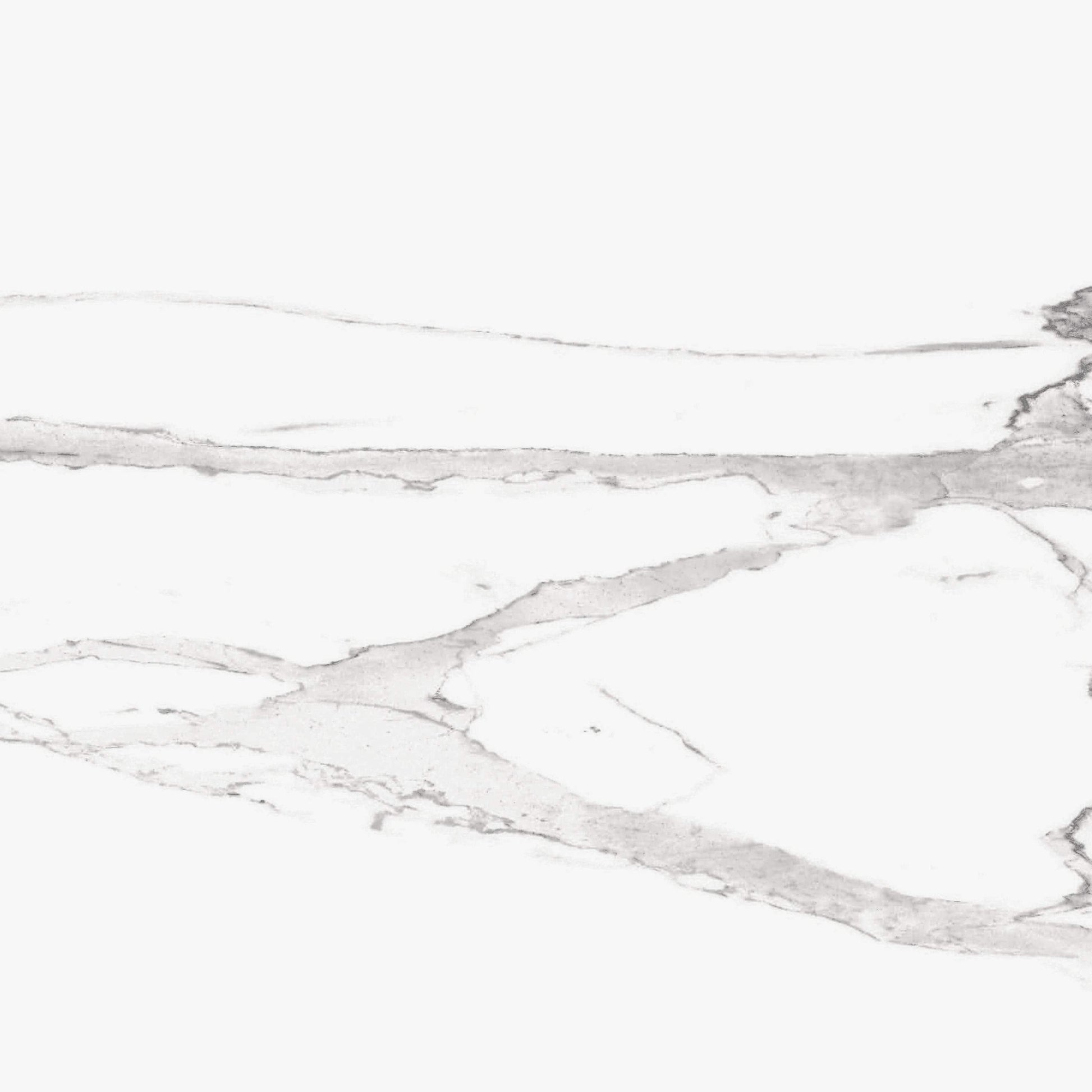 Jolly Statuario White 24x24 Polished Porcelain Tile Champion Tile