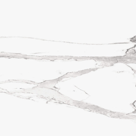 Jolly Statuario White 24x24 Polished Porcelain Tile Champion Tile