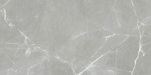 Renaissance Amani Grey 12x24  Matte Porcelain Tile Euro Glass