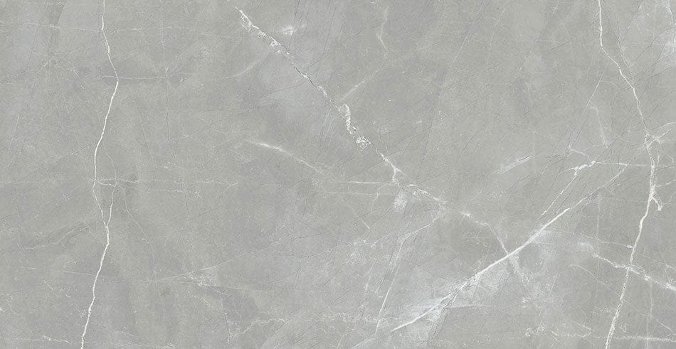 Renaissance	Amani Grey 24x48 Matte Porcelain Tile Euro Glass