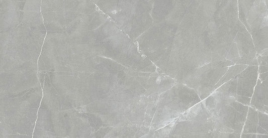 Renaissance	Amani Grey 24x48 Matte Porcelain Tile Euro Glass