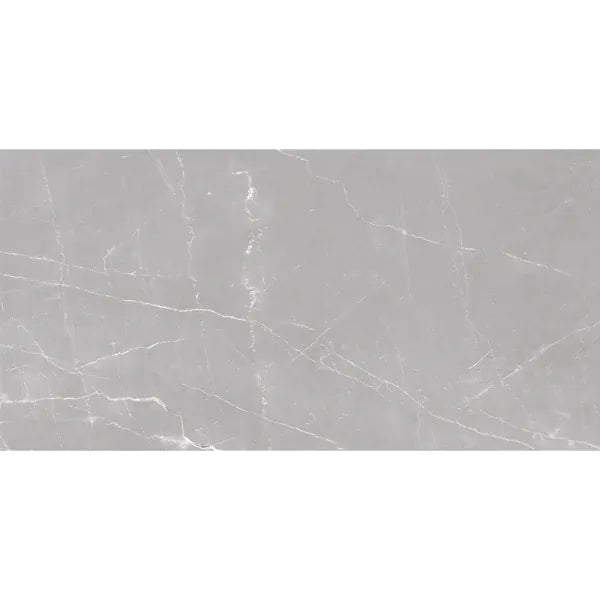 Velanza Cenere Gray24×48 Matte Porcelain Tile Matrix Mosaics