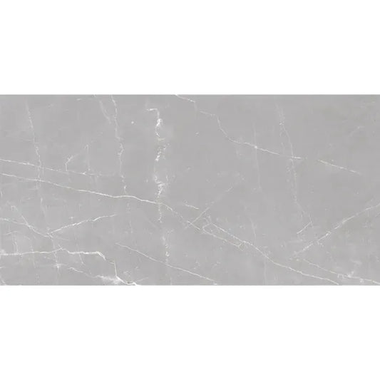Velanza Cenere Gray24×48 Matte Porcelain Tile Matrix Mosaics