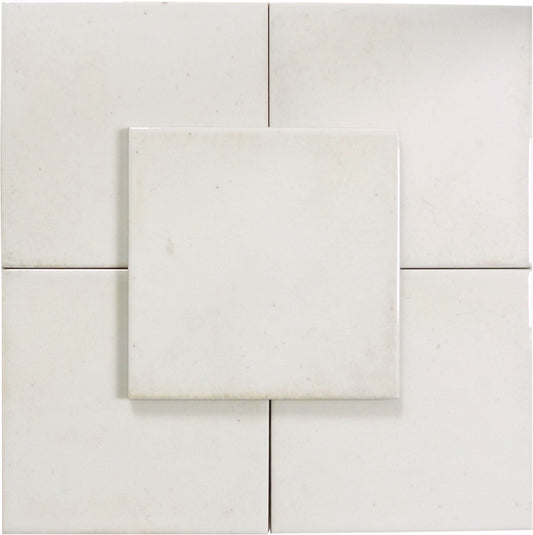 Boutique Antique White Field 6x6 Porcelain Tile Ocean Pool Mosaics