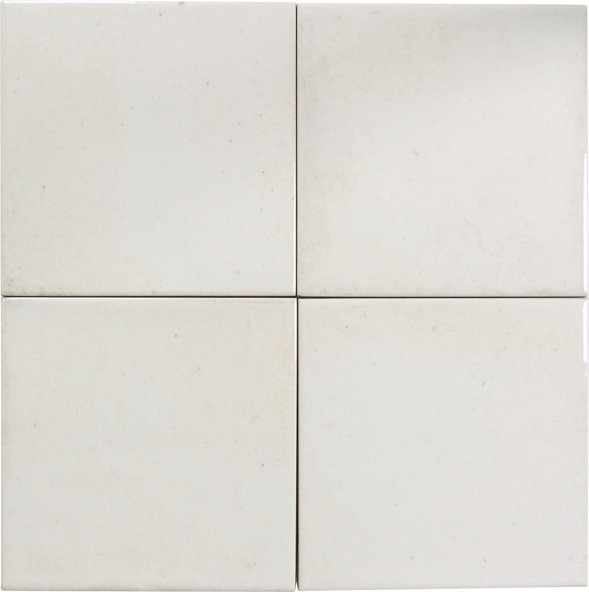 Boutique Antique White Field 6x6 Porcelain Tile Ocean Pool Mosaics