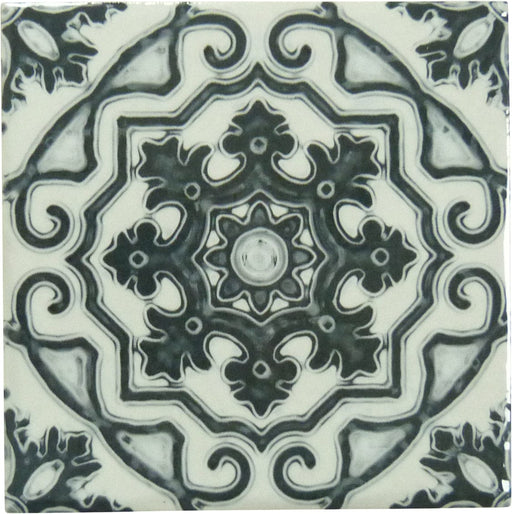 Maioliche Zombie Black 6x6 Glossy Porcelain Tile Royal Tile & Stone