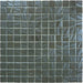 Moon Rock Grey 1'' x 1'' Glossy Glass Tile Absolut Glass