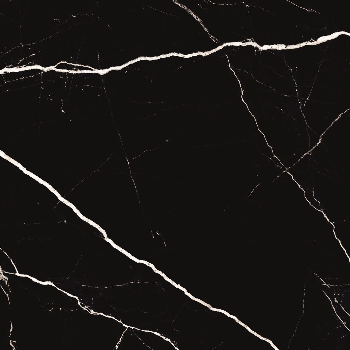 Markina Black 24x24 Polished Porcelain Tile | Oasis Tile