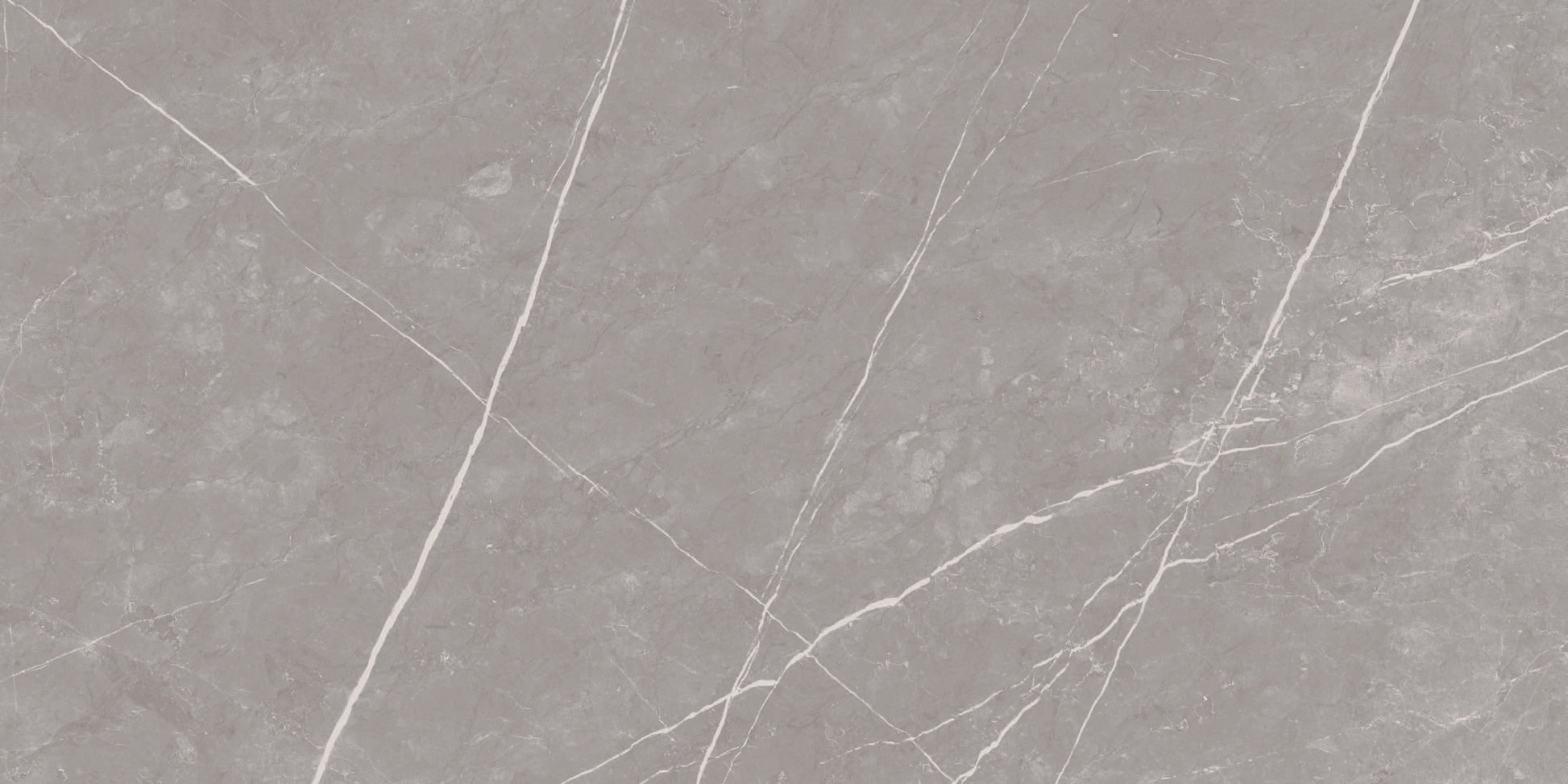 Spider Grey 12x24 Polished Porcelain Tile Champion Tile