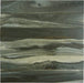 Ala Timber Thunder Sky Black 3" x 18" Matte Porcelain Plank Tile Euro Glass