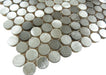 Urban Jungle Grey Chameleon 3/4" Penny Round Brushed Metal Tile Euro Glass