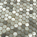 Urban Jungle Grey Chameleon 3/4" Penny Round Brushed Metal Tile Euro Glass